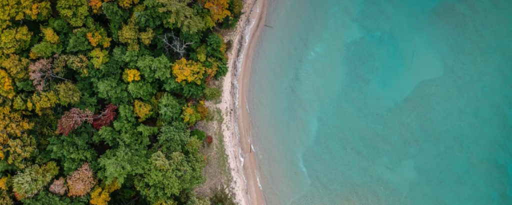 our services 2 1024x410.jpg our services 2 1024x410.jpg